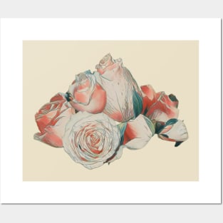 Vintage roses Posters and Art